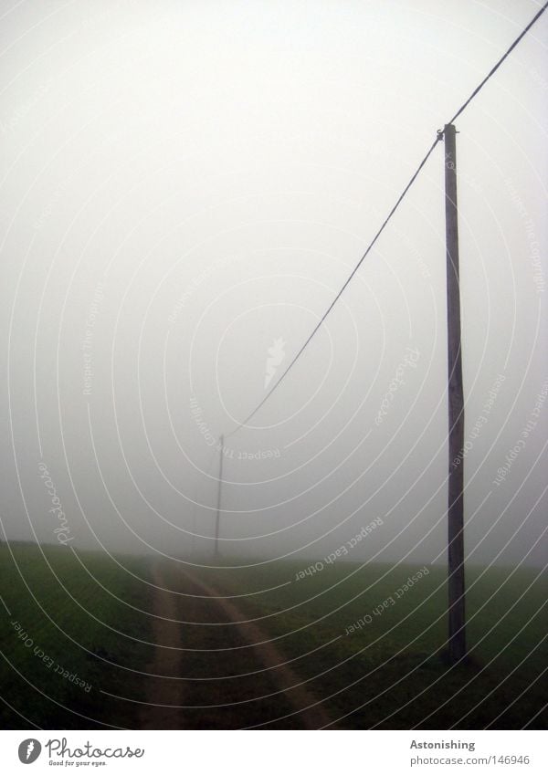 Cable in the fog Sky Autumn Weather Fog Grass Meadow Lanes & trails Perspective Transmission lines Conduct Electricity Electricity pylon Colour photo