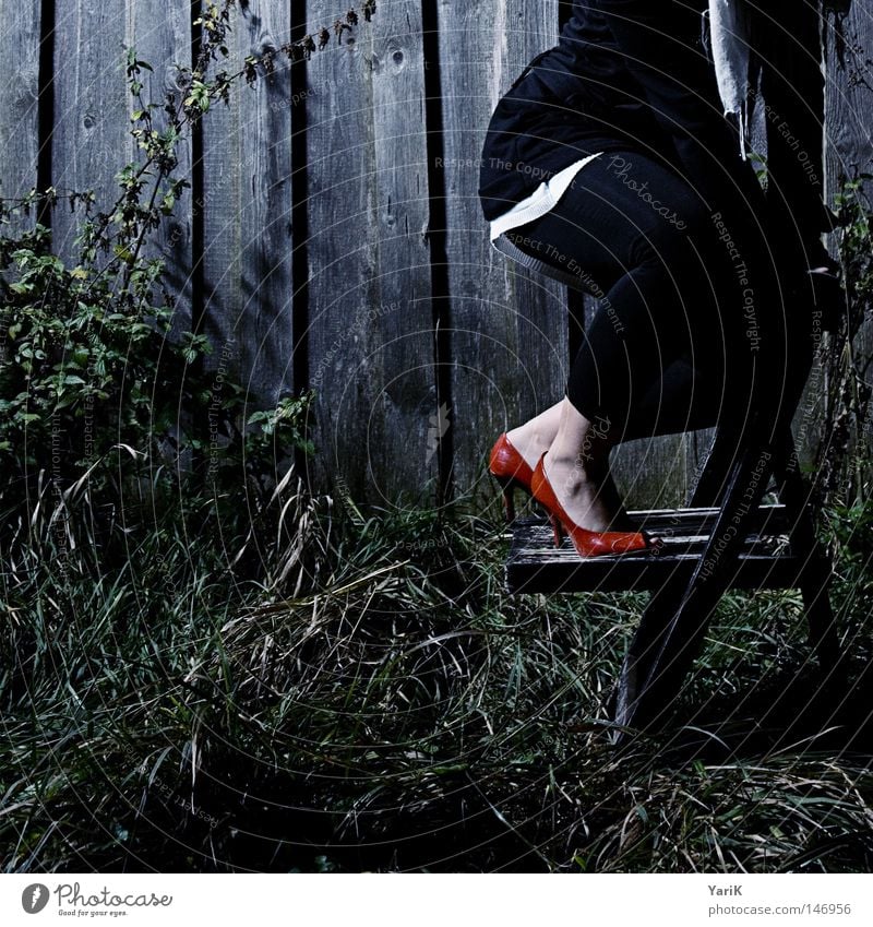 dark red Photo shoot Barn Wood Wooden board Wall (building) Dark Footwear High heels Woman Cold Red Grass Meadow Leaf Bushes Green Partially visible Transience