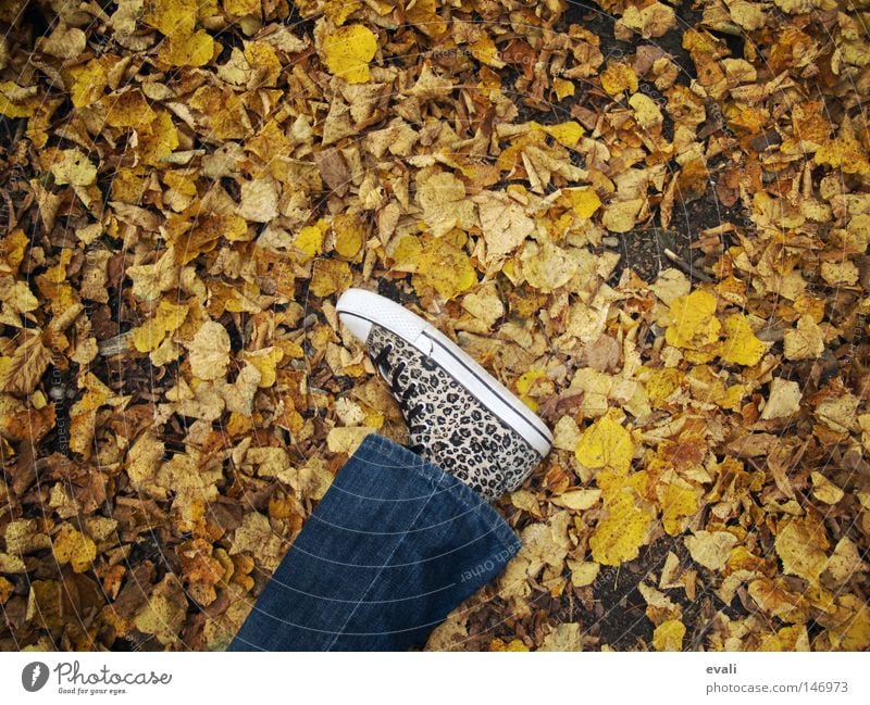 Bittersweet October Autumn Footwear Leaf Loneliness To fall Feet Legs Jeans Lie foot leg shoe trousers leaf leaves