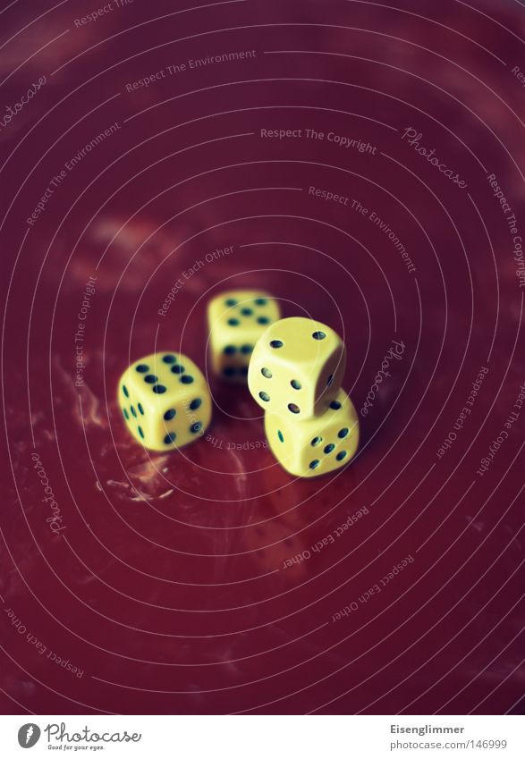dice game Leisure and hobbies Playing Table Digits and numbers Retro Meter 4 Happy Game of chance Reflection Deserted Crap game Lie Consecutively Blur