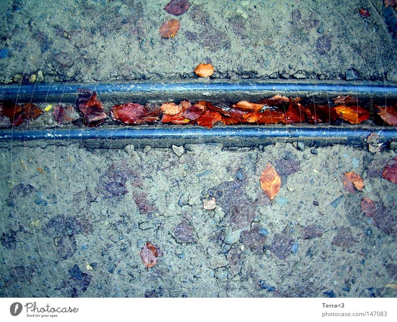 Feeling down when the autumn has come ... Gutter Rain gutter Metal Metalware Leaf Street Mud Sludgy Dirty Stone Water Autumn Cold Gray Blue Red Brown Parallel