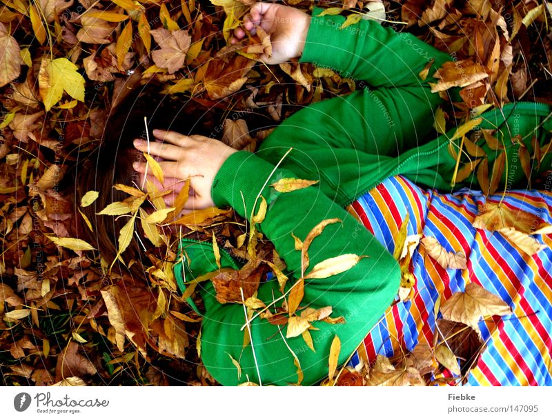 hide-and-seek à la kindergarten ... Autumn Leaf Multicoloured Brown Seasons Hide Ground Striped Grass green Face Hidden Lie Joy Boredom Time Leisure and hobbies