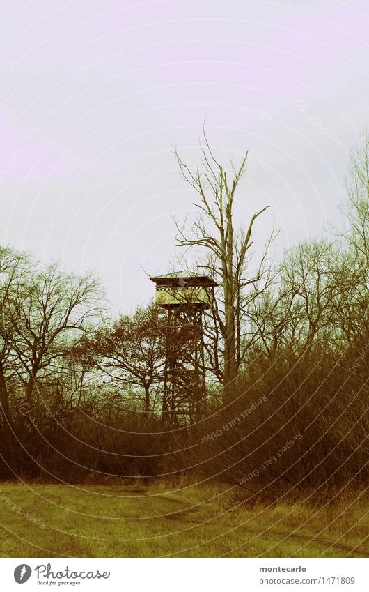 climate change | the world is becoming barren | lookout tower in a deserted nature reserve Long shot Contrast Day Abstract Exterior shot Gloomy Wild Original