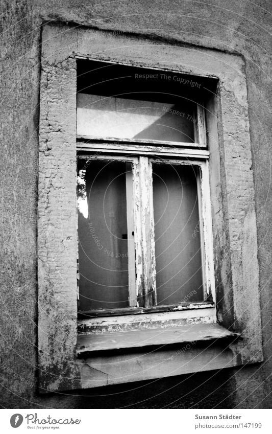 Window to the courtyard Black White Black & white photo Old Old-school GDR Redevelop Redecorate Modernization Conventional Door House (Residential Structure)