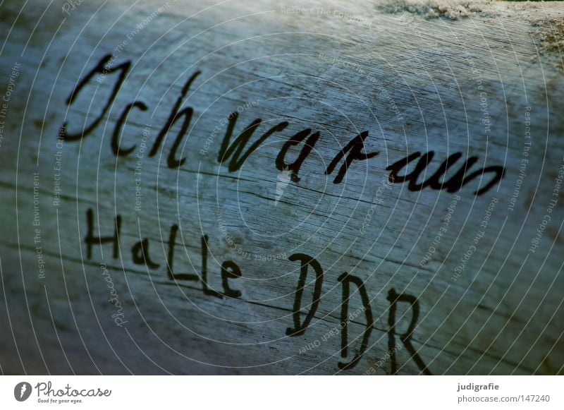 Hall GDR Halle (Saale) Characters Handwriting Typography Letters (alphabet) Wood Tree trunk Western Beach Darss Information Tracks Nature Vacation & Travel Sign