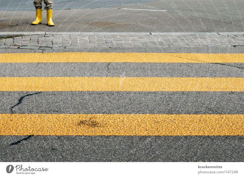liege, loose, run Pedestrian crossing Protection Defenseless Zebra crossing Yellow Asphalt Street Transport Town Going Traverse Concreted Tar Stripe Narrow
