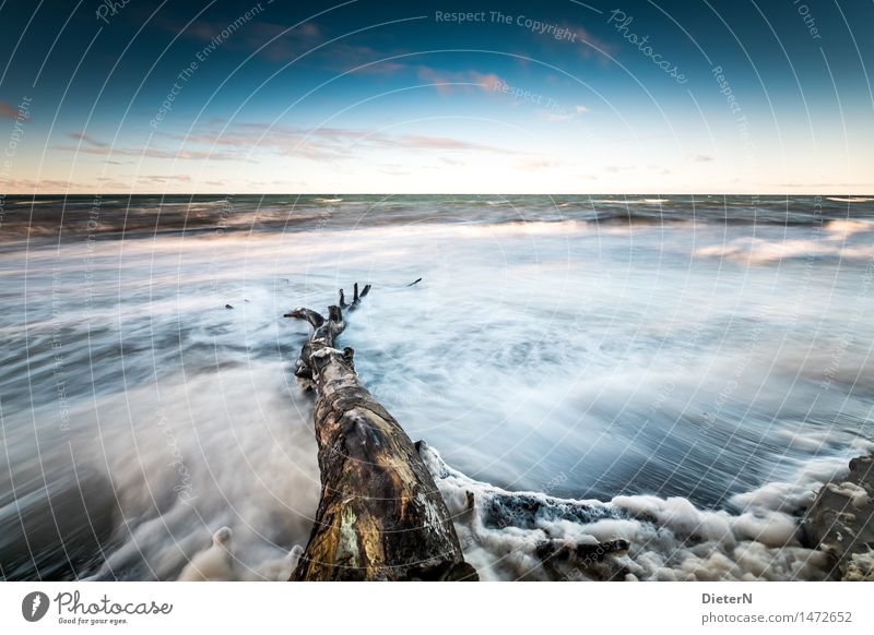 trunk Beach Ocean Waves Nature Landscape Sand Water Clouds Horizon Weather Wind Gale Coast Baltic Sea Blue Brown Black White Darss White crest