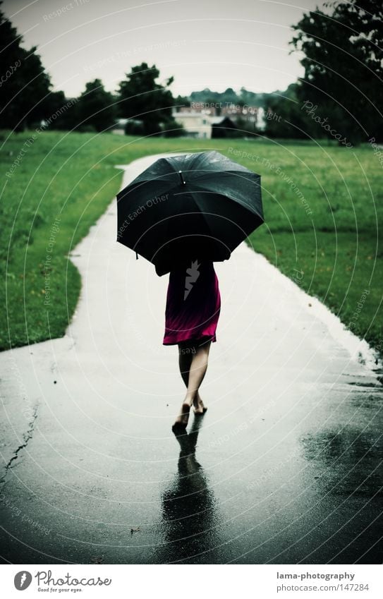 Ain't no sunshine... Rain Weather Thunder and lightning Autumn Summer Wet Puddle Lanes & trails Meadow Field Cold Umbrella Damp Dress To go for a walk Walking