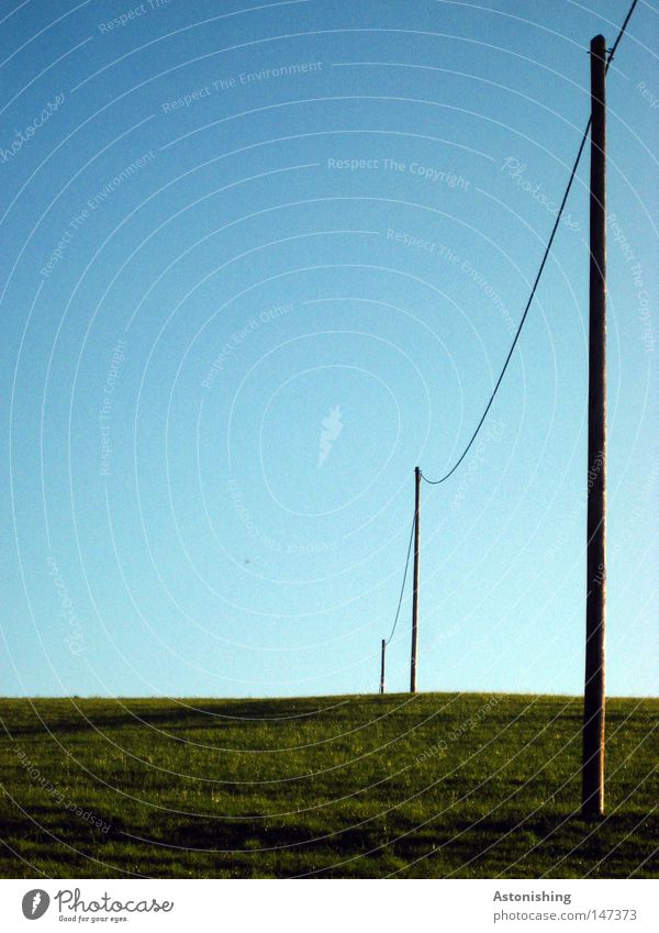 a transition Transmission lines Conduct Electricity Transition Grass Meadow Electricity pylon Telegraph pole Sky Blue Cable Steel cable Hill Green Upward