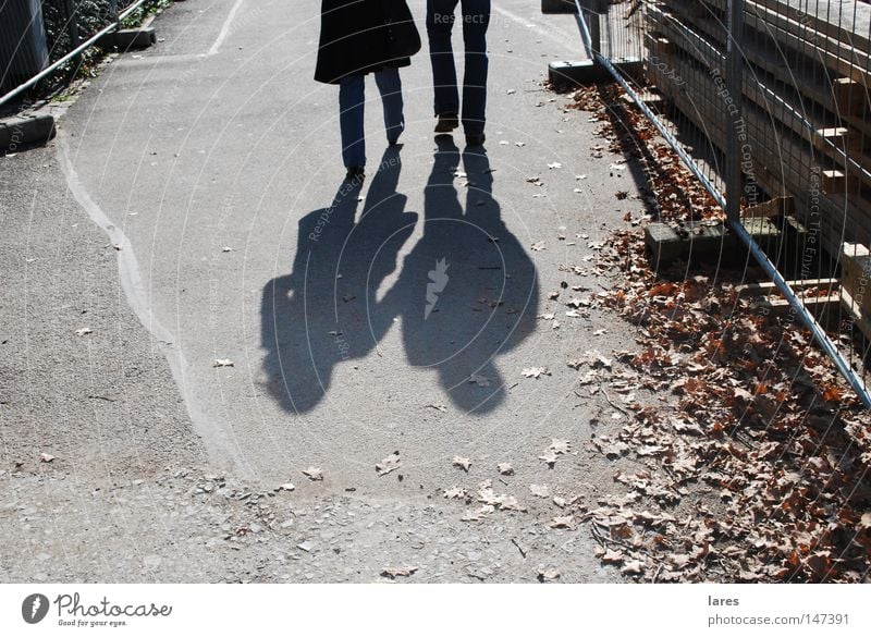 shadow Together To go for a walk Human being Shadow Couple Walking In pairs