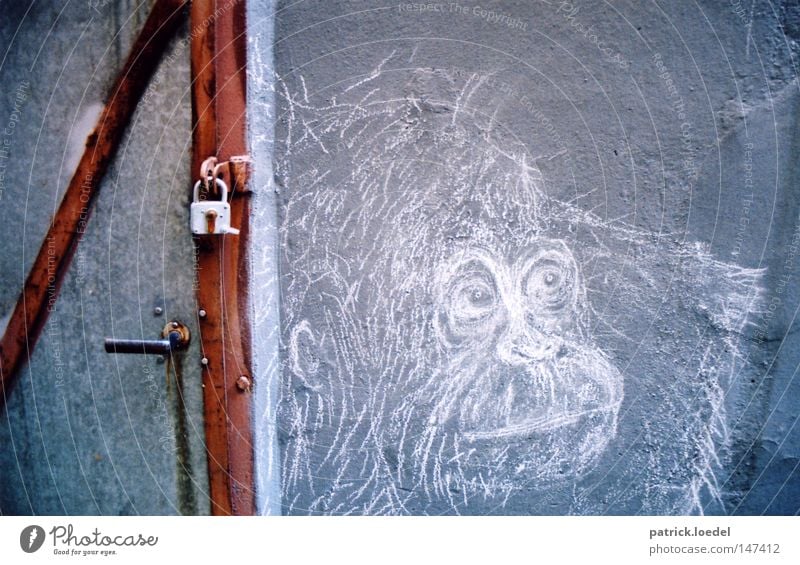 [HH08.3] Shut up, monkey dead. Monkeys Gorilla King Kong Chimpanzee Apes Painting and drawing (object) Art Mural painting Rock drawing Stone Age Line Closed Key