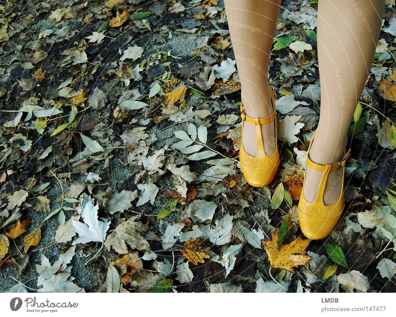 Suitable shoes for autumn: € 19,90 Footwear Buckle Autumn Leaf Yellow Green Asphalt Roadside yellow shoes Landing To go for a walk Feet Legs Street
