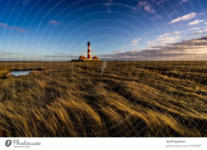 Westerhever lighthouse at sunset Vacation & Travel Tourism Trip Adventure Far-off places Freedom Sightseeing Hiking Environment Nature Landscape Plant Animal