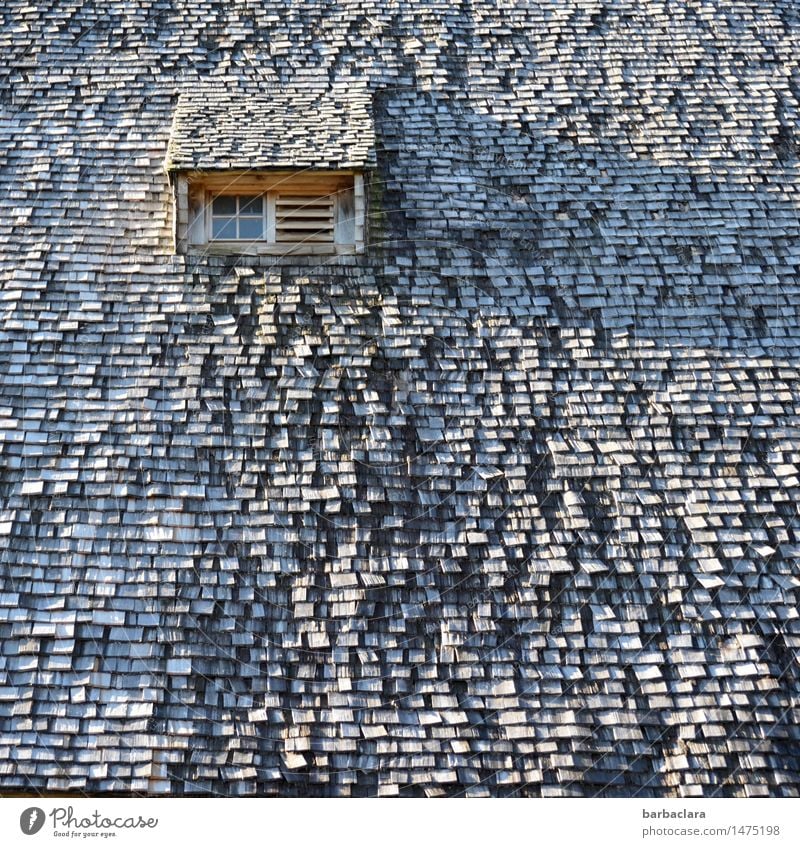 historical | Black Forest House Living or residing House (Residential Structure) Shingle roof Agriculture Forestry Black Forest house Window Roof Wood Old