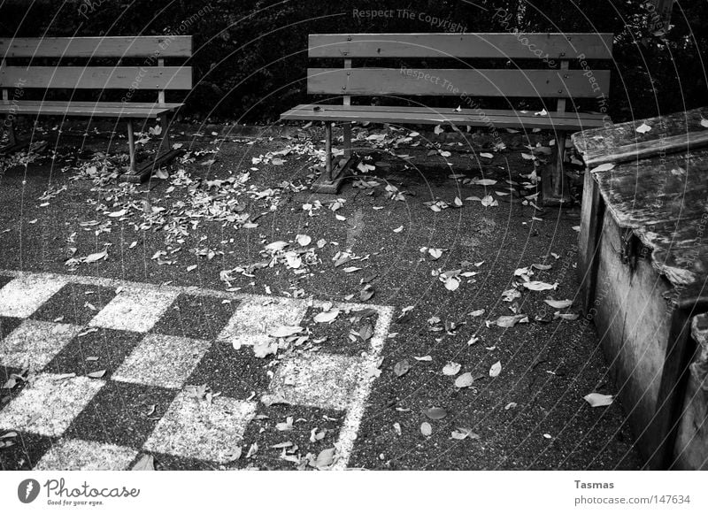 Closed for the Season Leisure and hobbies Playing Chess Autumn Traffic infrastructure Wait Cold Loneliness Chessboard Empty Derelict play Pattern