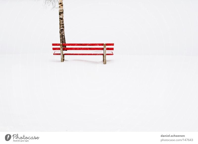 red bench Snow Winter Bench Contrast Red White Calm Loneliness Peace Seasons tree. empty Peaceful