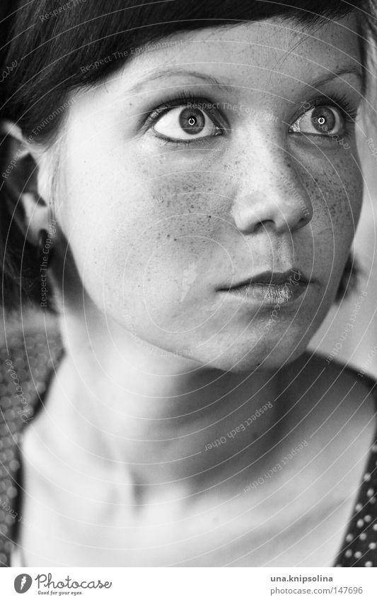 länkar prickig Face Human being Young woman Youth (Young adults) Woman Adults Eyes Nose Mouth Black White Freckles The fifties Sixties Black & white photo