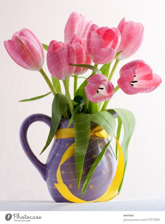 Pink tulips in violet vase with yellow ribbon Vase Tulip Bouquet Valentine's Day Mother's Day Easter Birthday Spring Yellow Green Violet