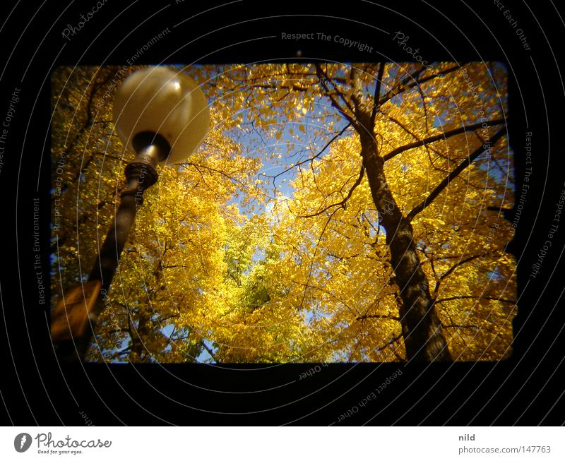 Analog-Digital (Aufm weg zur Wiesn) Autumn Footpath Lantern Yellow Multicoloured Happiness Sky blue Theresienwiese Viewfinder Blue Gold Contrast
