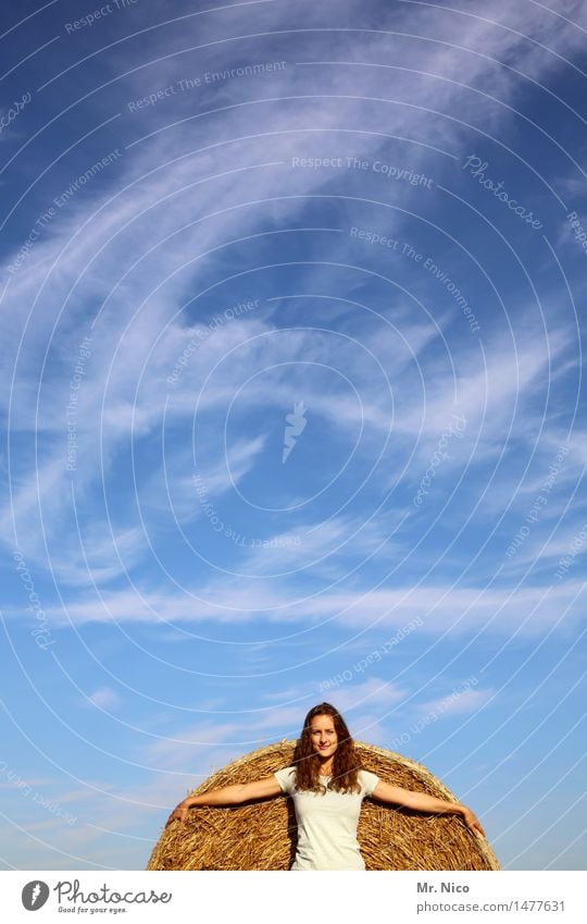 the round one must be in the square one. Bale of straw Straw Sky Summer Clouds Blue Yellow Summery Beautiful weather arms stretched out cirrostratus clouds