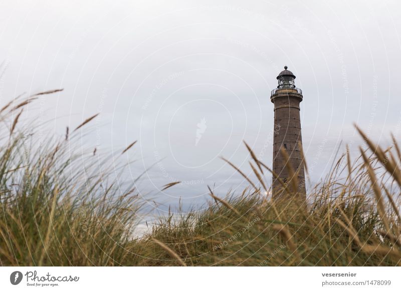 Lighthouse Skagen Fyr Vacation & Travel Landscape Grass Coast North Sea Navigation Old Illuminate Historic Tall Uniqueness Maritime Round Emotions Safety