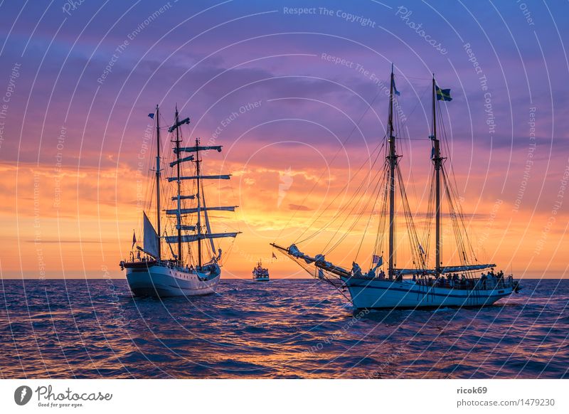 Sailing ship at the Hanse Sail Relaxation Vacation & Travel Tourism Water Clouds Baltic Sea Ocean River Navigation Maritime Romance Idyll Nature Tradition