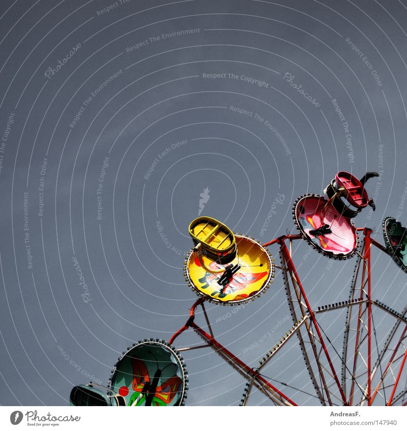 in heaven is fair II Fairs & Carnivals Sky Feasts & Celebrations Carousel Gyroscope Circle Approach a crisis Giddy Vertigo Oktoberfest Rotate Flying