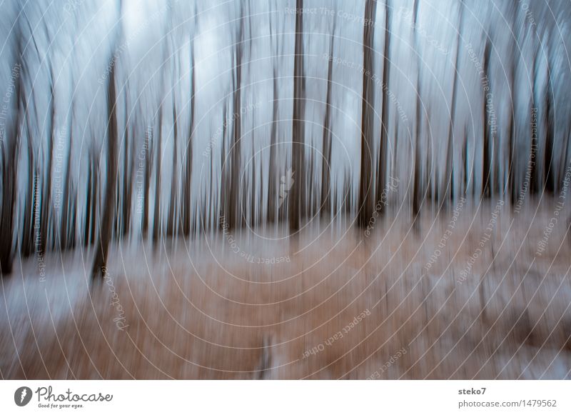 III Winter Tree Forest Loneliness Exhaustion Movement Creativity Surrealism Dream Tree trunk Structures and shapes Mystic Washed out Blur Discern Abstract