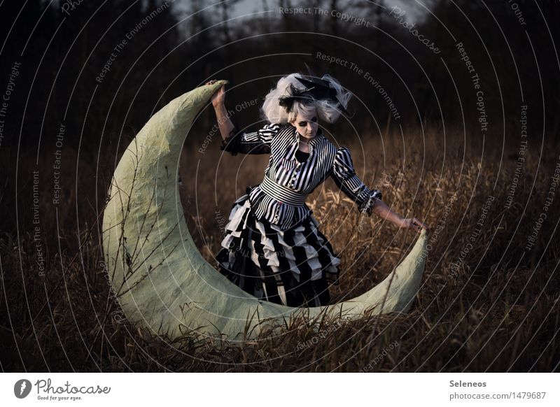 . Freedom Human being Feminine Woman Adults 1 Subculture Rockabilly Environment Nature Moon Meadow Field White-haired Wig To hold on Dream Fairy tale Striped