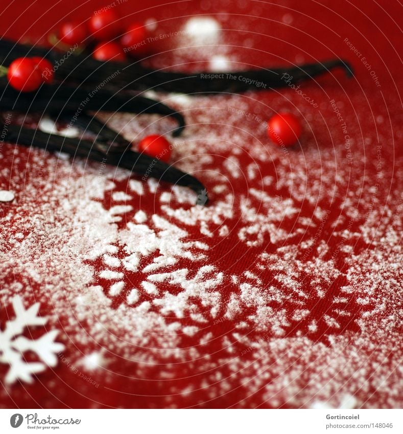 Advent atmosphere Decoration Feasts & Celebrations Pensive Snowflake Flake Husk Vanilla pod Berries December Christmas & Advent Anticipation festival of love