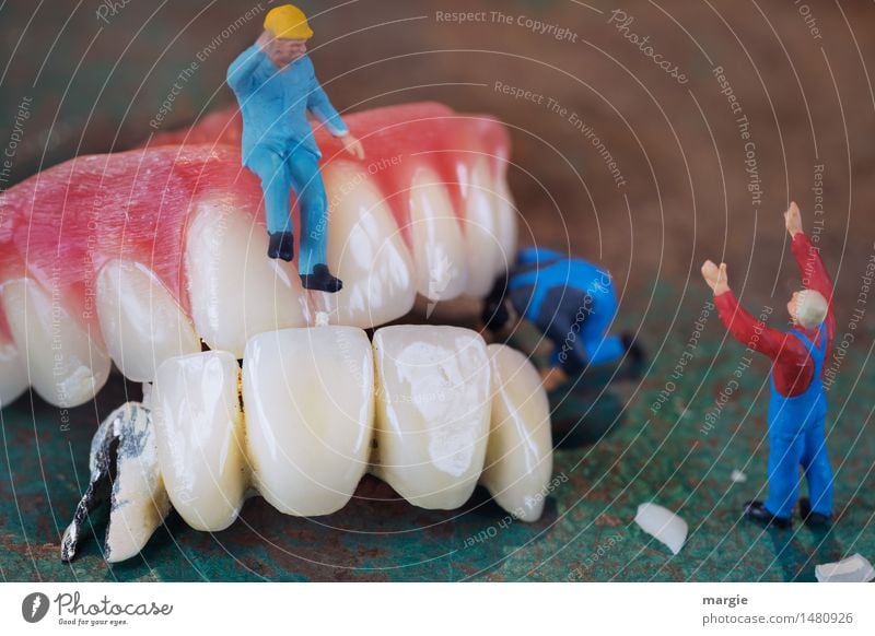 Miniwelten - Tooth restoration III Healthy Health care Medical treatment Model-making Craftsperson Doctor Workplace Construction site Services Human being
