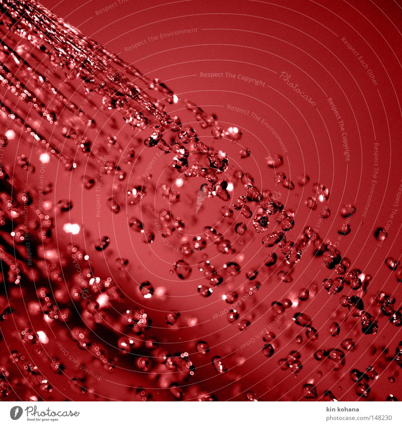 temporary diagonal Red Water Drops of water Radiation Inject Dark Intensive Colour Transience Wet Diagonal Reflection Lighting Damp Macro (Extreme close-up)