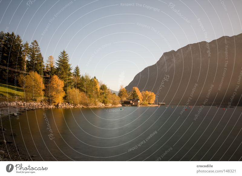 autumn room Lake Achensee Federal State of Tyrol Autumn Water Transience Leaf Dyeing Yellow Calm Peace Long exposure Mountain lake Alps Austrian Alps Sky Cable