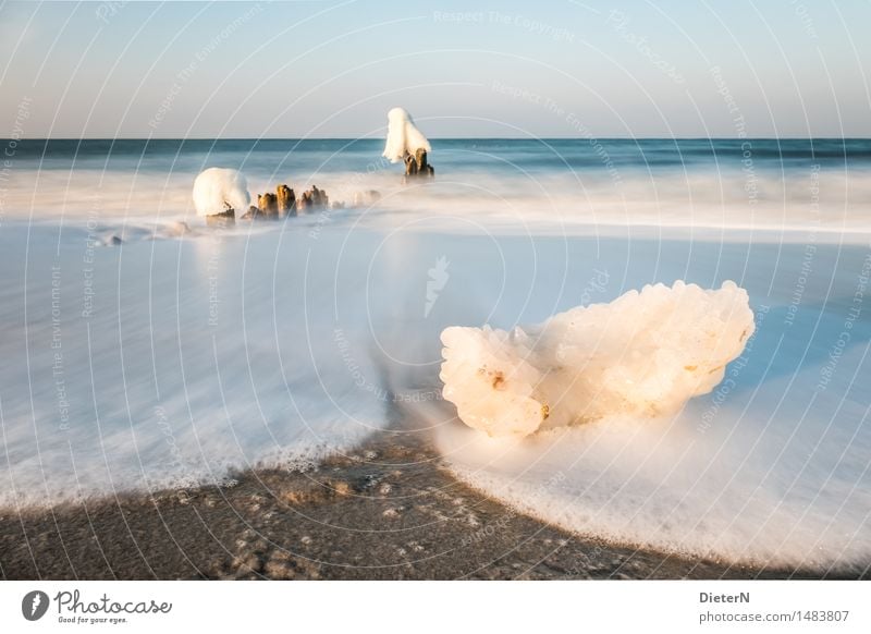 floe Nature Landscape Sand Water Sky Cloudless sky Horizon Winter Weather Beautiful weather Wind Ice Frost Coast Beach Baltic Sea Ocean Blue Brown White
