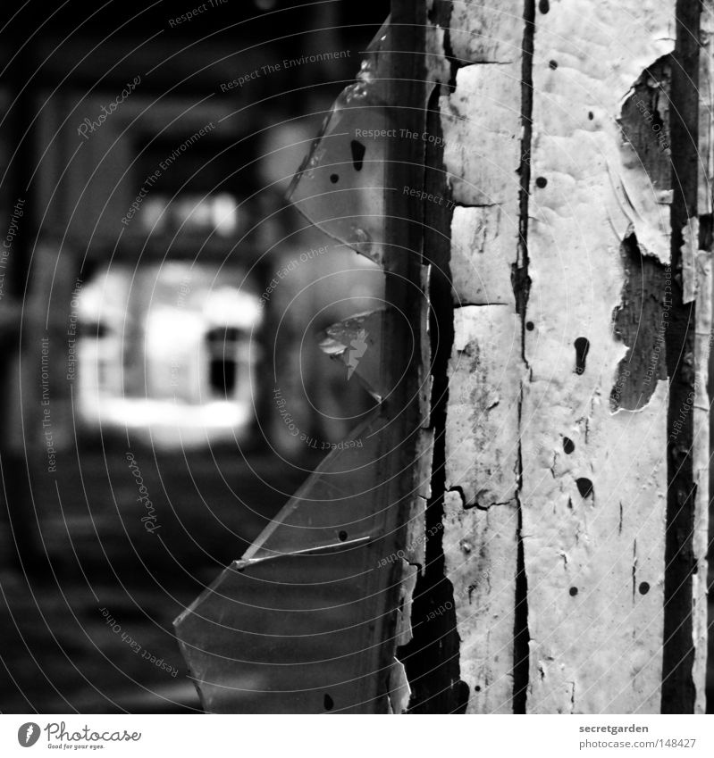 [H 08.2] splatter film Room Window Decline Lose Plaster Cleaning Window frame Wood Air Ancient Factory Rung Bright Dark Converse Black White Knob Corner Cold