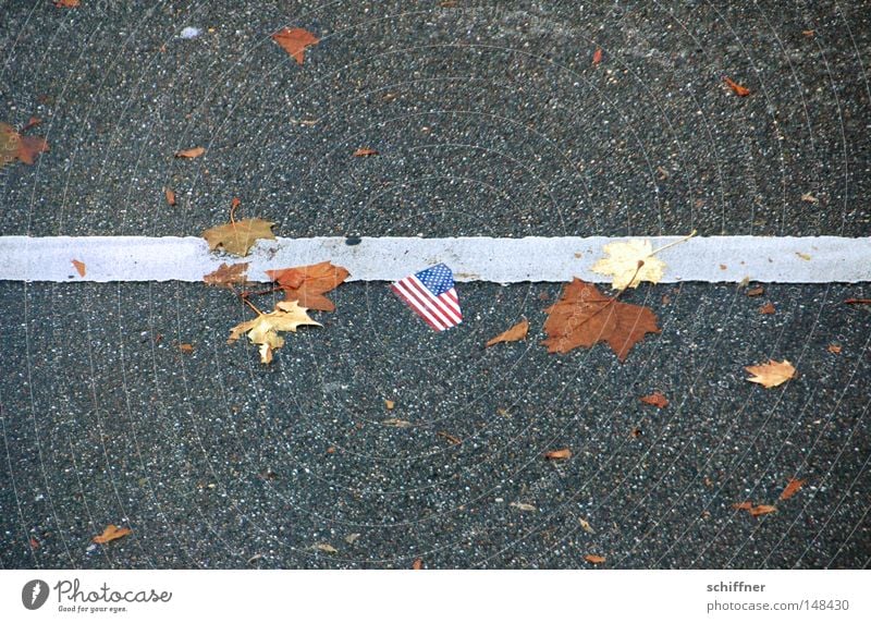 Walk The Line USA American Flag Americas Leaf Autumn Direct Steadfastness Economic crisis Under Lie Second-hand Trash Direction Trend-setting