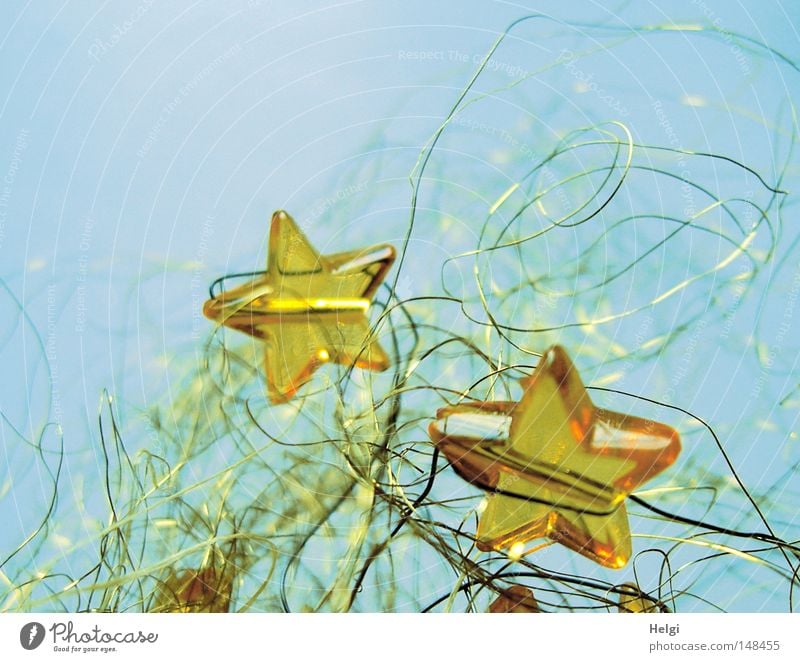 yellow glass stars in golden wire against a blue background Star (Symbol) Christmas & Advent Feasts & Celebrations Decoration Embellish Festive December Glass