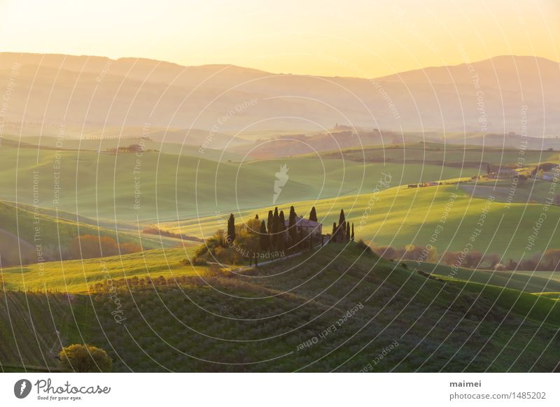 Farmhouse in Tuscany before a sunrise panorama House (Residential Structure) Nature Landscape Cloudless sky Tree Meadow Field Hill Blue Green Idyll