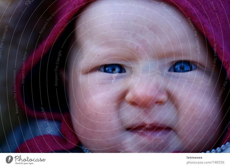 Only shoot when you see the white in her eyes Baby Child Cap Pink Grimace Appetite Cold Portrait photograph Toddler blue eyes gunner's suction red nose Rudolph