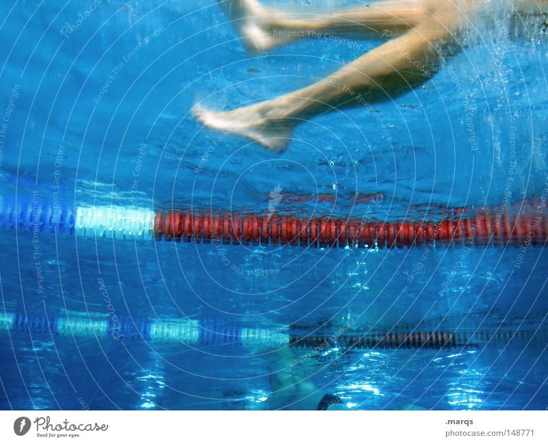 footwork Colour photo Underwater photo Upward Lifestyle Healthy Wellness Leisure and hobbies Playing Bathroom Sports Aquatics Sportsperson Swimming pool Rope