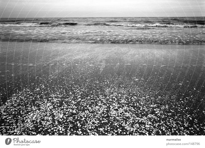 Hearing the noise Ocean Beach Baltic Sea Waves Water Salt Cooking salt Sea water Wind Lime High tide Torrents of water Sand Wet Sense of taste Horizon Usedom