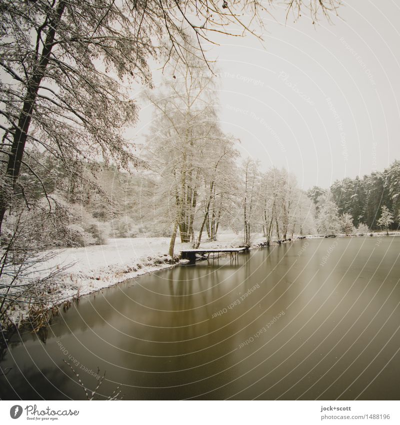Still the lake rests in winter Nature Winter Ice Frost Snow Lakeside Franconia Authentic Cold Romance Calm Idyll Inspiration Climate Ice landscape