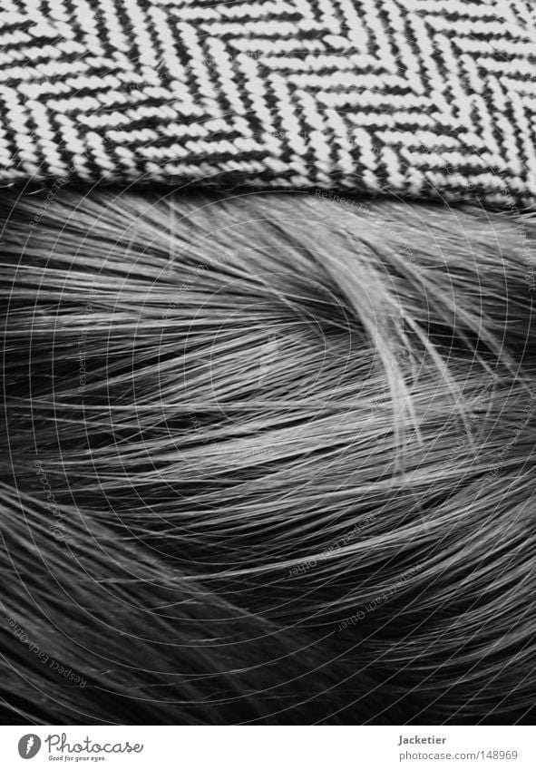 Hair-Free Strand of hair Hair circlet Black White Fish bone Herringbone Boredom Hair and hairstyles Black & white photo Head