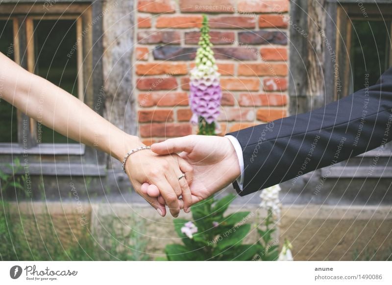 Bride and groom hand in hand Wedding Woman Adults Man Couple Partner Arm Hand Fingers Jewellery Ring Happy Joie de vivre (Vitality) Optimism Brave Trust