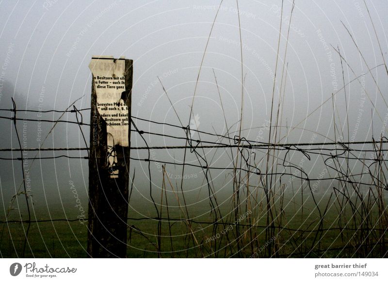 Fenced fog Fog Morning Gray Loneliness Signs and labeling Nature Pasture Sky Broken Moody Atmosphere Dawn