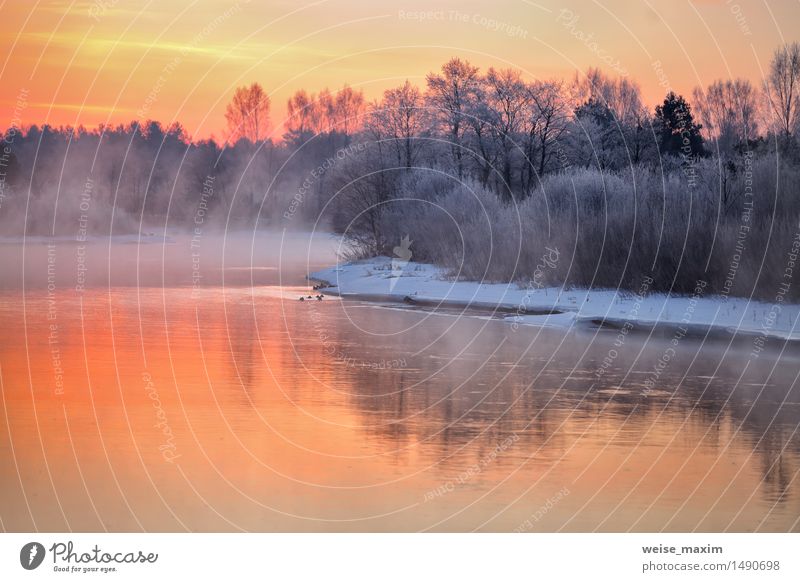 Misty winter dawn on the river. Belarus Winter Snow Winter vacation Nature Landscape Water Sky Clouds Fog Ice Frost Tree Bushes Forest River Skyline Blue Yellow