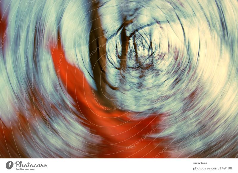 in the whirlpool of seasons Forest Tree Tree trunk Branch Sky Autumn Holiday season Winter Abstract Nature Landscape Undergrowth Air Red Leaf Blur Dream Rotated