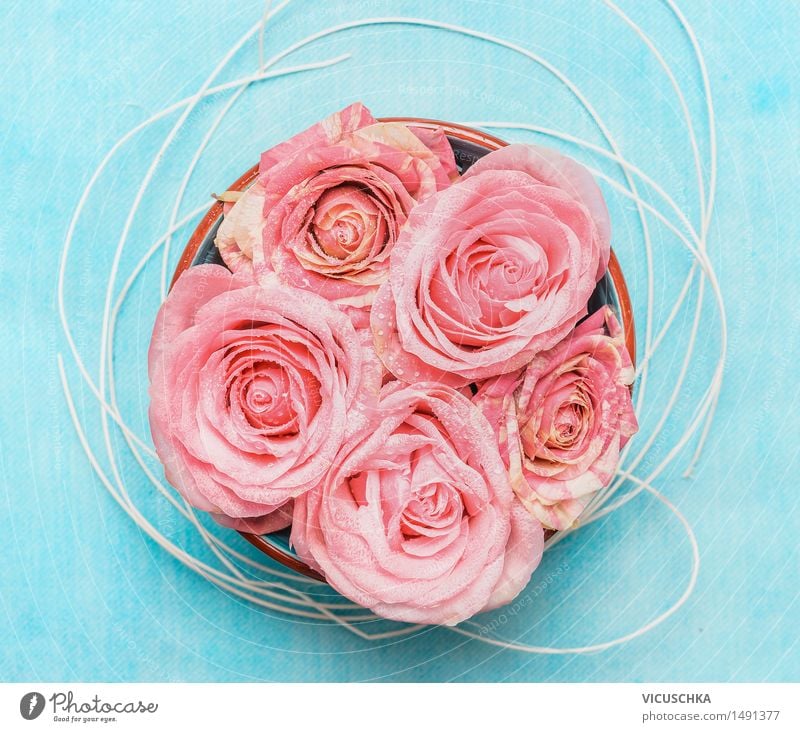 Bowl with roses on blue background Style Design Wellness Spa Feasts & Celebrations Valentine's Day Mother's Day Birthday Nature Flower Rose Blossom Pink