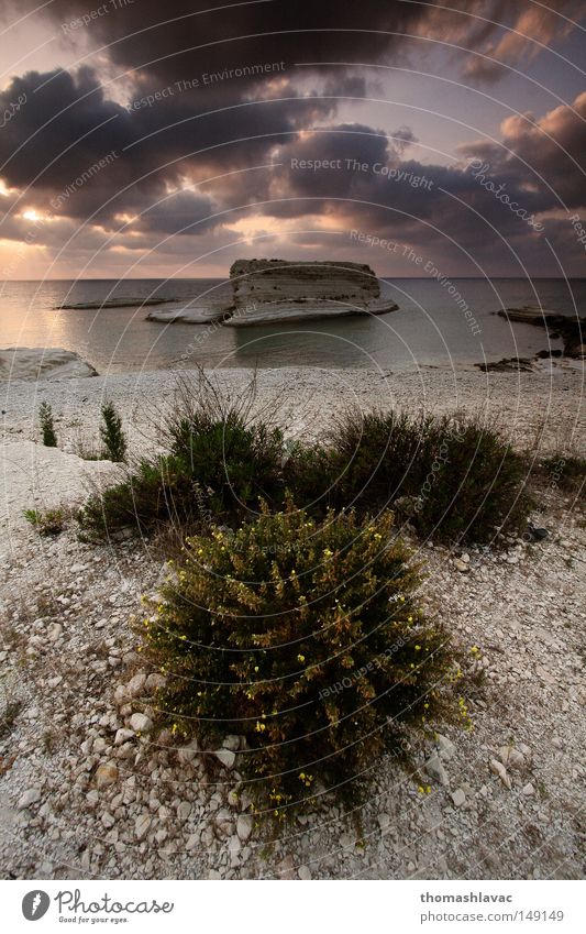 Mediterranean coast Beach Stone Plant Ocean Syria Mediterranean sea Sky Clouds Sunset Asia Coast Summer