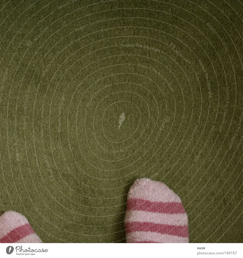 Remained on the carpet. Carpet Stockings Pink Stripe Striped Green Stand Unwavering Meadow Floor covering Ground Feet Detail Children's room sagged